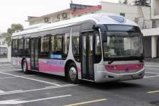 Bus-7
