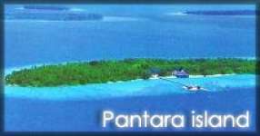 Wisata Pulau Seribu - Pulau Pantara