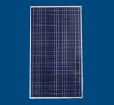 solar module 230 watt