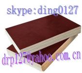 offer film face plywood(skype:ding0127)china