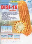 Bibit Jagung,  F1 Bisi 16