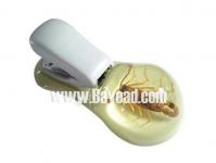 Wholesale Insect amber Stapler ( crafts,  gifts,  souvenir ,  novelties,  gift promotion,  Office Supplies)