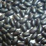 black bean/ black kidney bean