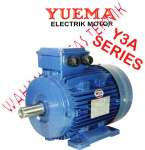 YUEMA - Electric Motor