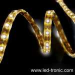 Flexible LED light Strip with SMD5060 LED