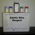 Microplate (Elisa) Reagen - Adaltis,  Italia