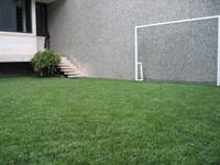 Garden Landscape & Soccer playground - 2 in 1