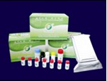 Neomycin ELISA test kit