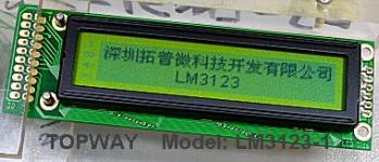 LM3121