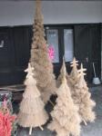 Fragrant Root Christmas tree
