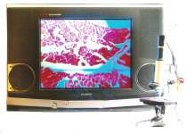 Paket Mikroskop Biocamera