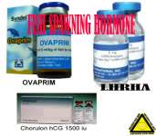READY STOCK OVAPRIM - produk SYNDEL CANADA SYNDEL AQUATIC SCIENCE TECHNOLOGY from CANADA .