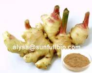 Ginger Extract Gingerols 5%