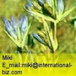 gentian extract