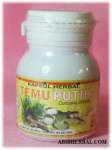 TEMU PUTIH Obat Herbal Kanker mulut rahim,  serviks,  kista,  nyeri haid,  tumor rahim - tazakka