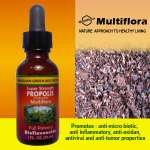 Propolis Brazil Strong Antioxidant Protection & The King of Supplements.