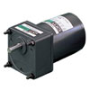 ORIENTAL - Induction Motor 5IK60GU-CWE