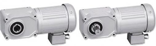Gearmotors: Concentric hollow/ solid shaft( F3)