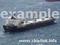 Small Bulk Carrier dwt5-10K - ship wanted