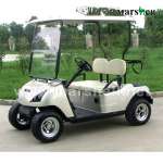2 Seater Electric Golf Car with CE certificate DG-C2