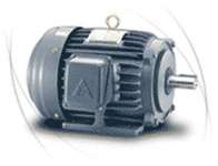 Motor 3 Phase Teco-Low Voltage