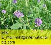 Alfalfa Extract