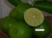 fresh lime ( frozen lime, fresh fruit and vegetable, green lemon, lime seedless)