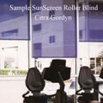 Sunscreen Roller Blind