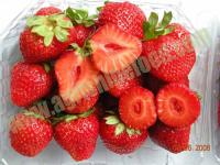 IQF strawberry / frozen strawberry
