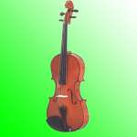Violin,  Cello,  Double Bass,  Electric Violin,  Electric Cello,  Electric Double Bass