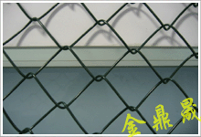 Chain Link Fence