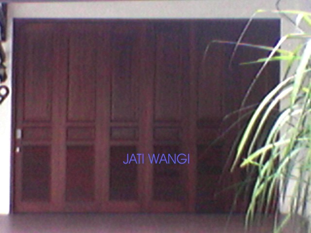 Pintu Garasi 6