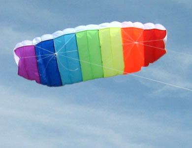 sell Dual-Line Parafoil Kite