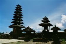Bali Special Price