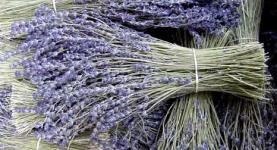 lavender products, dried lavender flower,  lavender Bouquets, lavender oil, lavender sachets, lavender tea