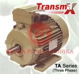 Electromotor TransMax TA series ( Three Phase)