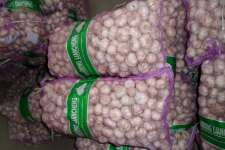 raw garlic for Indonesia market