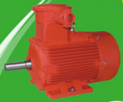 Explosion Proof Motor ( YB2 three phase induction motor )