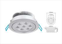 LED Ceiling Light