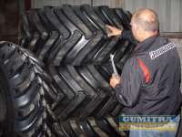 OTR and agri tyres