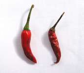 chilies