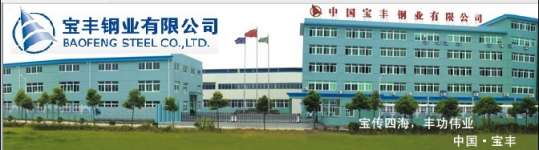 Baofeng Special Steel ( Wenzhou Baofeng Special steel Co.,  Ltd.)