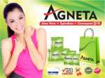 Agneta Indonesia