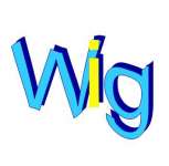 Yiwu Foo-topstar Wig Co.,  Ltd.