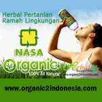organik-indonesia