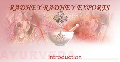 Radhey Radhey Exports