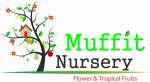Muffit Nursery