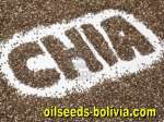 oilseeds bolivia