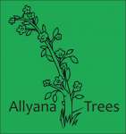 Allyana Trees