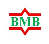 BMB Group